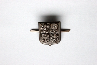 Bronzový odznak AČR